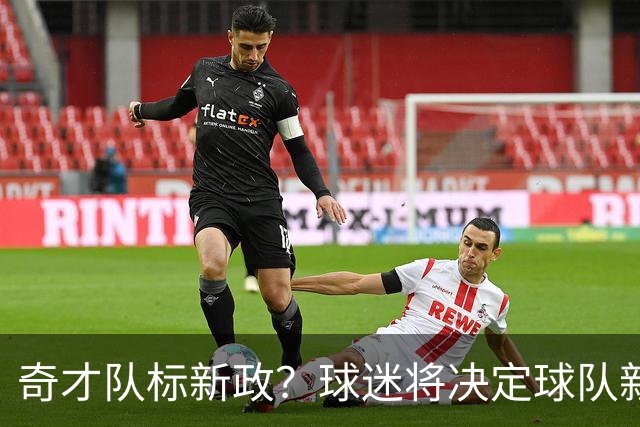 奇才队标新政？球迷将决定球队新颜